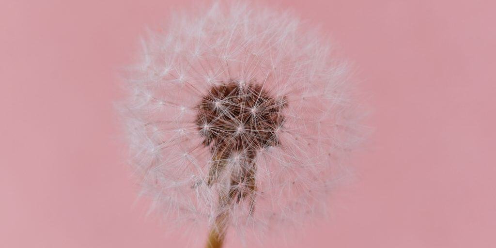 rubrica-domande-sullamore