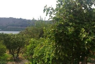 trappola amorosa {{brizy_dc_image_alt entityId=