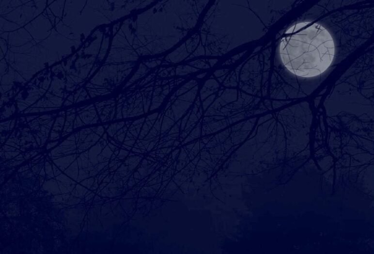 La notte trasfigurata