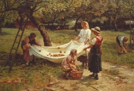 Donna e parsimonia