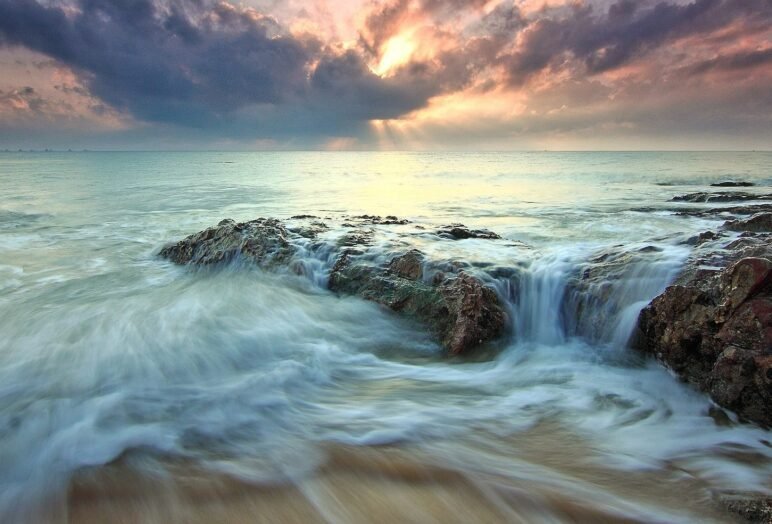 mare