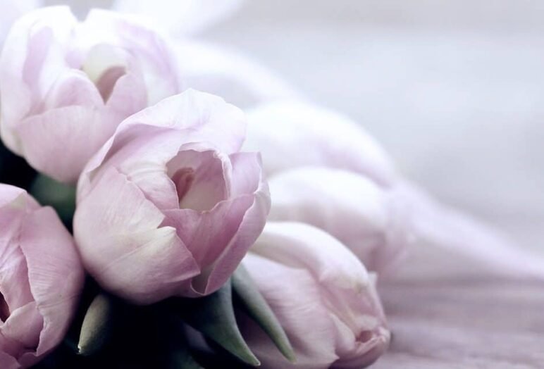 Rubrica domande sull'amore 14